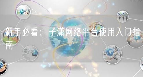 新手必看：子潇网络平台使用入门指南