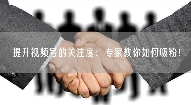 提升视频号的关注度：专家教你如何吸粉！