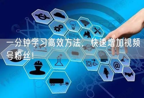 一分钟学习高效方法，快速增加视频号粉丝！