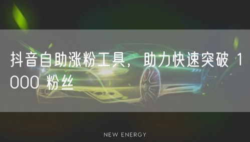 抖音自助涨粉工具，助力快速突破 1000 粉丝