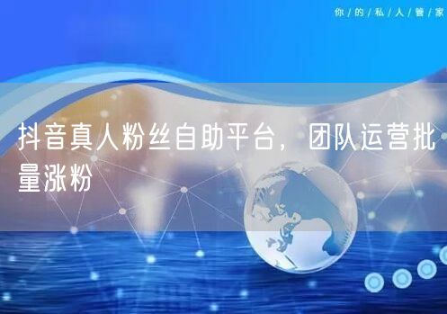 抖音真人粉丝自助平台，团队运营批量涨粉