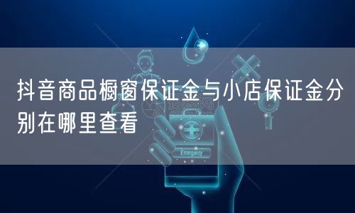 抖音商品橱窗保证金与小店保证金分别在哪里查看
