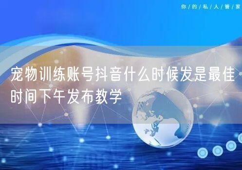 宠物训练账号抖音什么时候发是最佳时间下午发布教学
