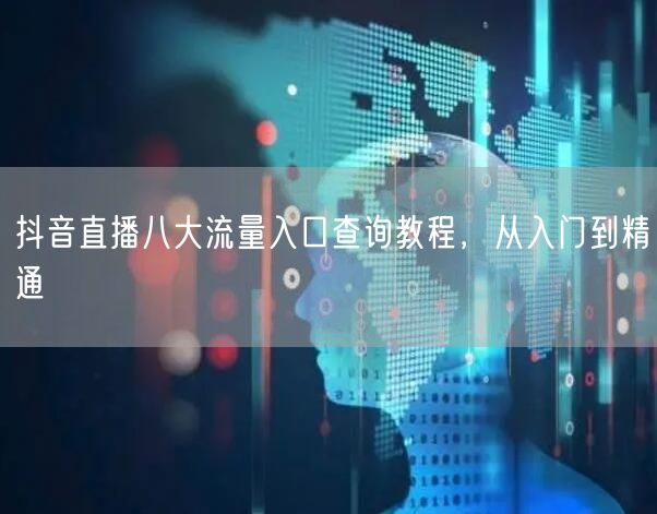 抖音直播八大流量入口查询教程，从入门到精通