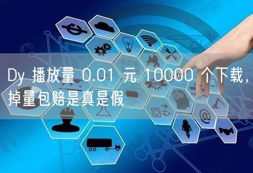 Dy 播放量 0.01 元 10000 个下载，掉量包赔是真是假