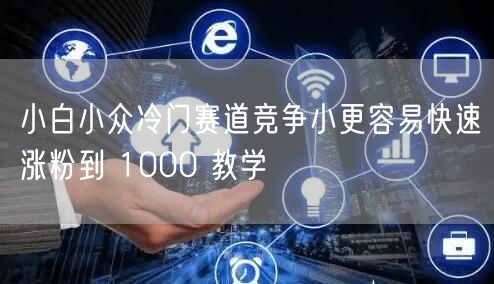 小白小众冷门赛道竞争小更容易快速涨粉到 1000 教学