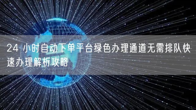 24 小时自动下单平台绿色办理通道无需排队快速办理解析攻略