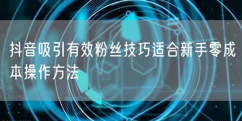 抖音吸引有效粉丝技巧适合新手零成本操作方法