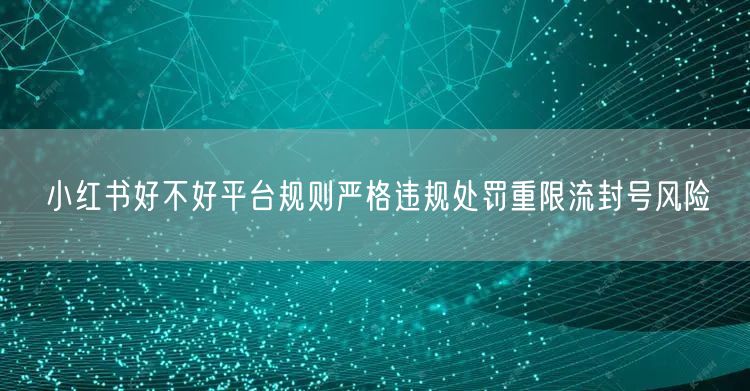 小红书好不好平台规则严格违规处罚重限流封号风险