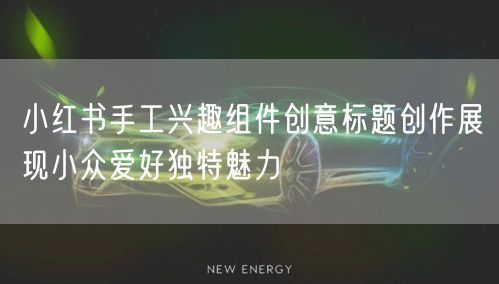 小红书手工兴趣组件创意标题创作展现小众爱好独特魅力