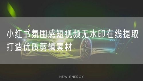 小红书氛围感短视频无水印在线提取打造优质剪辑素材