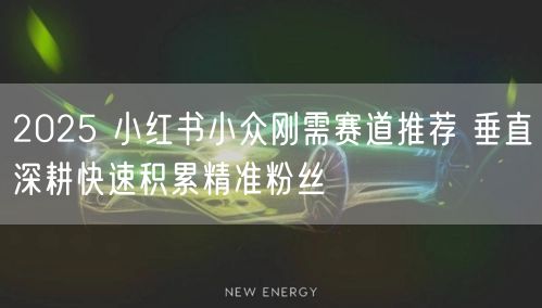 2025 小红书小众刚需赛道推荐 垂直深耕快速积累精准粉丝