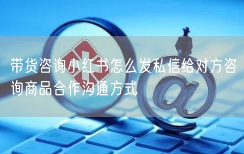 带货咨询小红书怎么发私信给对方咨询商品合作沟通方式