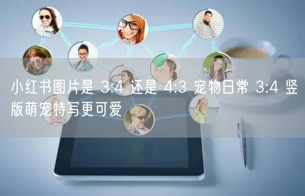 小红书图片是 3:4 还是 4:3 宠物日常 3:4 竖版萌宠特写更可爱