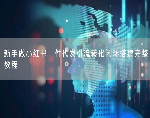 新手做小红书一件代发引流转化闭环搭建完整教程