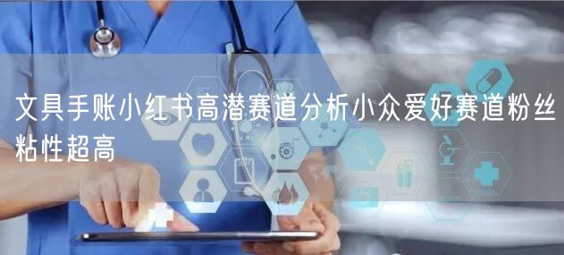 文具手账小红书高潜赛道分析小众爱好赛道粉丝粘性超高