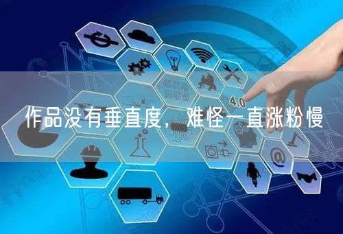 作品没有垂直度，难怪一直涨粉慢
