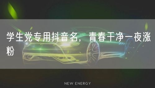学生党专用抖音名，青春干净一夜涨粉
