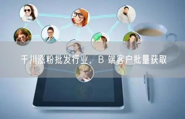 千川涨粉批发行业，B 端客户批量获取
