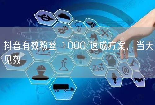 抖音有效粉丝 1000 速成方案，当天见效