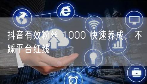抖音有效粉丝 1000 快速养成，不踩平台红线