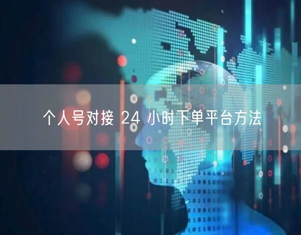 个人号对接 24 小时下单平台方法