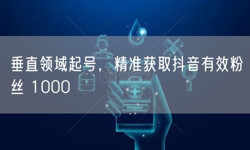 垂直领域起号，精准获取抖音有效粉丝 1000
