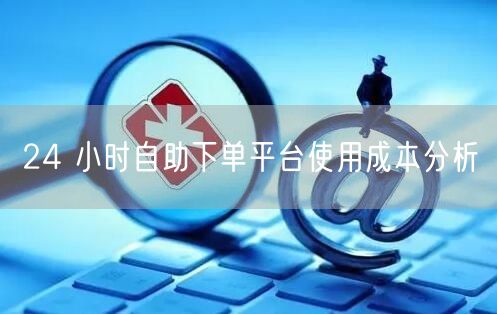 24 小时自助下单平台使用成本分析