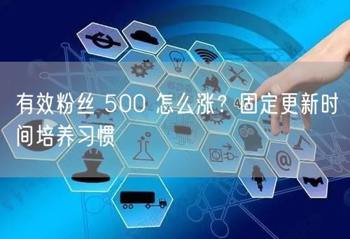 有效粉丝 500 怎么涨？固定更新时间培养习惯