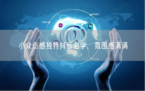 小众伤感独特抖音名字，氛围感满满