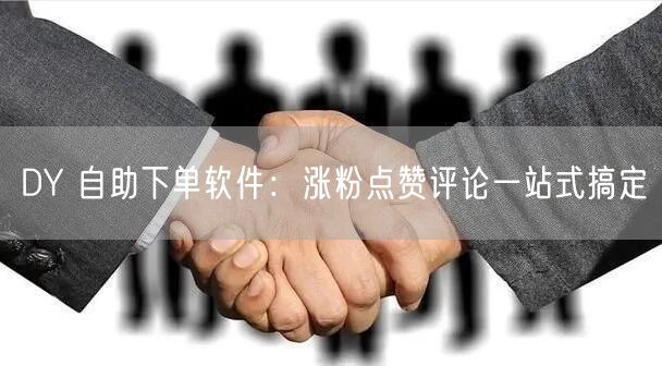 DY 自助下单软件：涨粉点赞评论一站式搞定