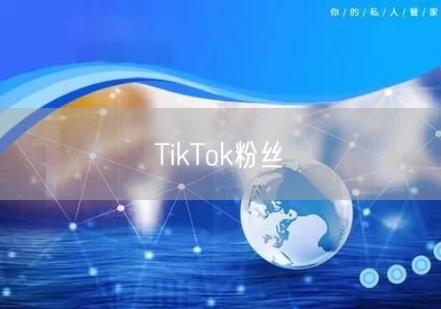 TikTok粉丝