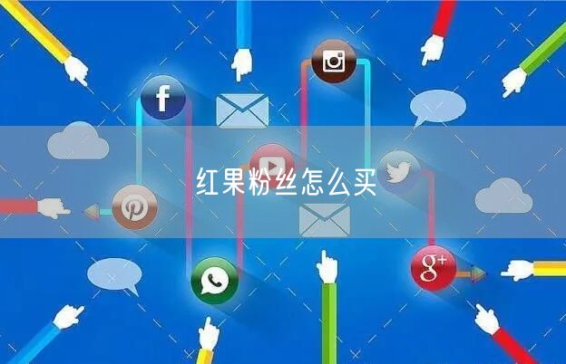 红果粉丝怎么买