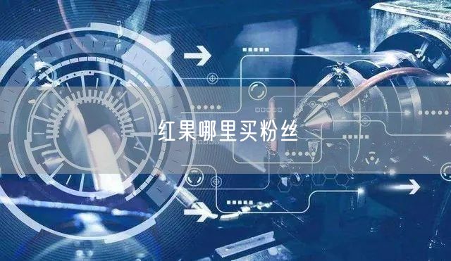 红果哪里买粉丝