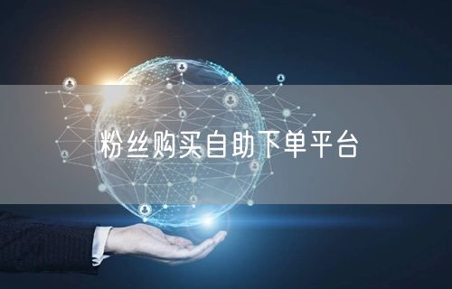 粉丝购买自助下单平台