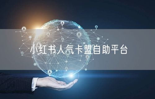 小红书人气卡盟自助平台