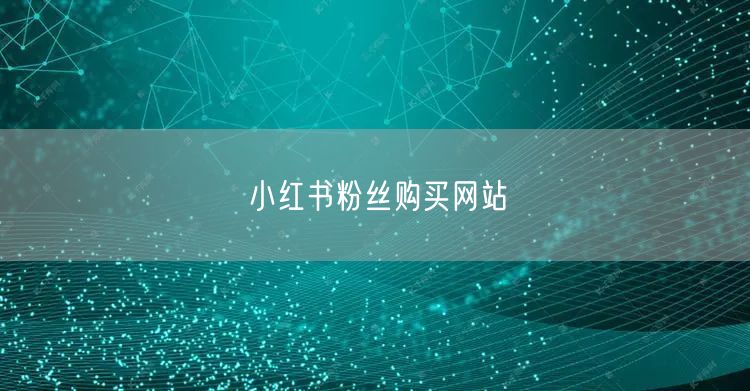 小红书粉丝购买网站
