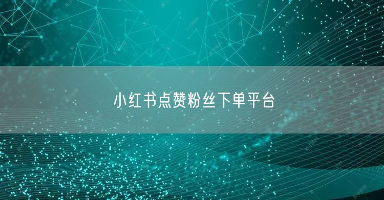 小红书点赞粉丝下单平台