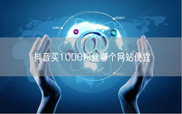 抖音买1000粉丝哪个网站便宜
