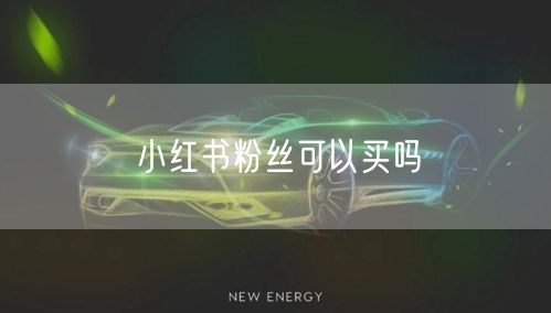 小红书粉丝可以买吗