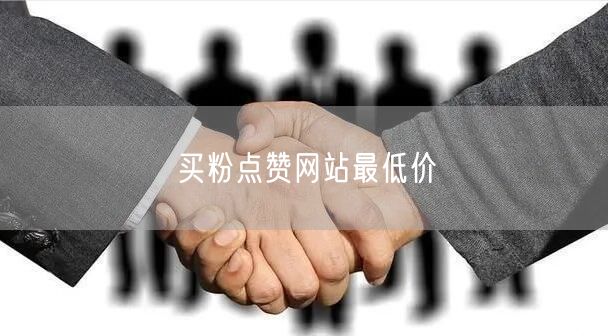买粉点赞网站最低价