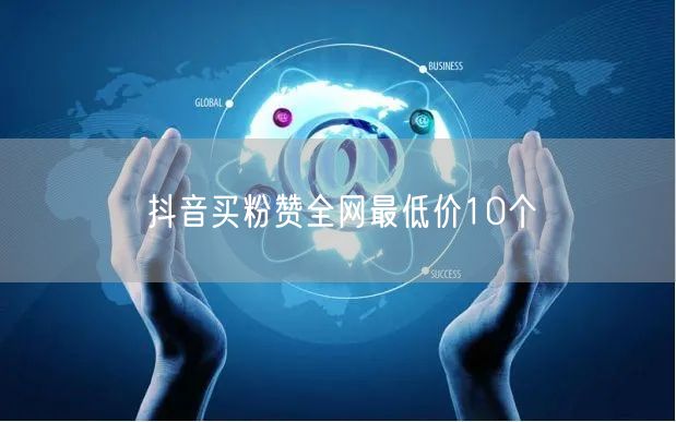 抖音买粉赞全网最低价10个